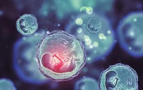 深圳医院试管 在深圳恒生医院能做三代试管婴儿吗? ‘b超如何测男女’