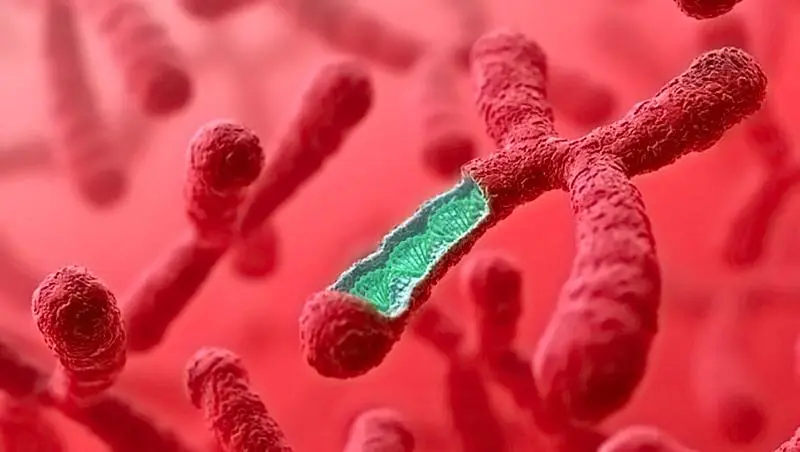 河南省试管三代 2023
郑州供卵试管婴儿包生男孩15万够吗？附2023
河南供卵试管