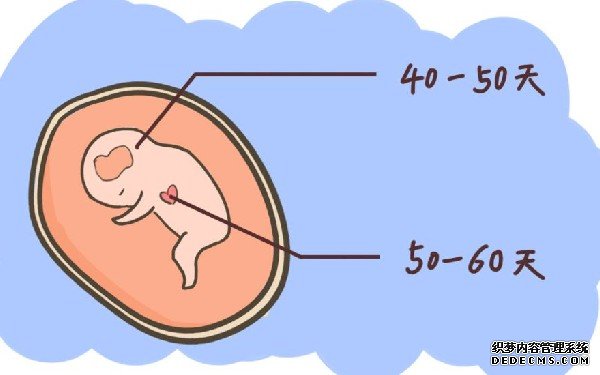 试管 流程 重庆 2022重庆供精人授流程一览 ‘13周代孕b超单数据男孩女孩’
