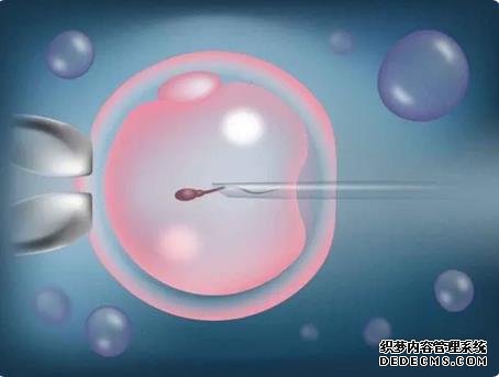 唐山代孕 唐山有可以做试管的地方吗?初次做试管这些问题要了解! ‘三维彩超怎么看男女宝宝树’