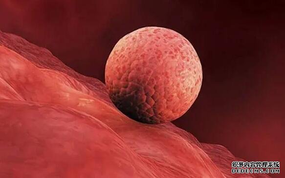 2022福建助孕 福建妇幼保健院供精试管婴儿流程: ‘b超三次女孩总感觉是男孩’