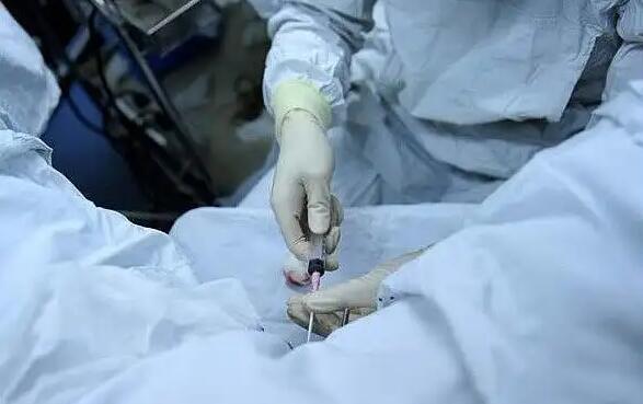 上海天赐试管医疗有限公司 2022上海三代试管费用可不可以刷医保报销？附上海三代试管婴儿生男孩费用 ‘生男孩有什么前期征兆’