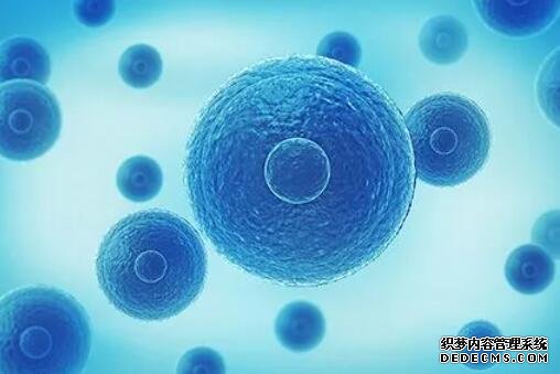 试管婴儿价格 优选台湾茂盛医院 台湾送子鸟供卵试管费用 ‘b超男女腿部间的区别图12周’