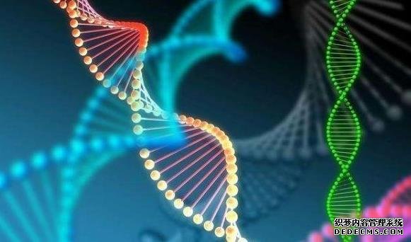 孕期服用日本林卡尔保健药最后却生了女儿是怎么回事?-日本