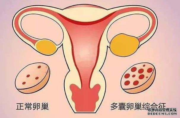 德州市人民医院做试管婴儿前期检查费用要多少？-德州市人民医院