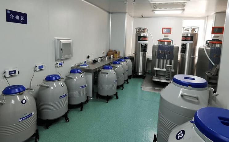 杭州喜宝代生机构 2022在杭州做三代试管哪个医院成功率高一些？ ‘17周的彩超单子怎么看男女’