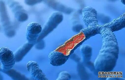 2023取卵手术治疗全过程，前沿技术及流程一览