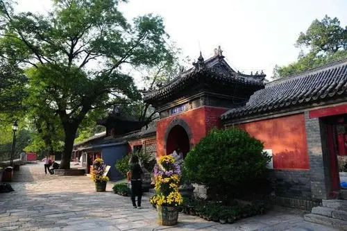 山西家园医院试管婴儿可以筛选性别吗？,山西大学人民医院二代试管进周后医生就是一对一了吗？