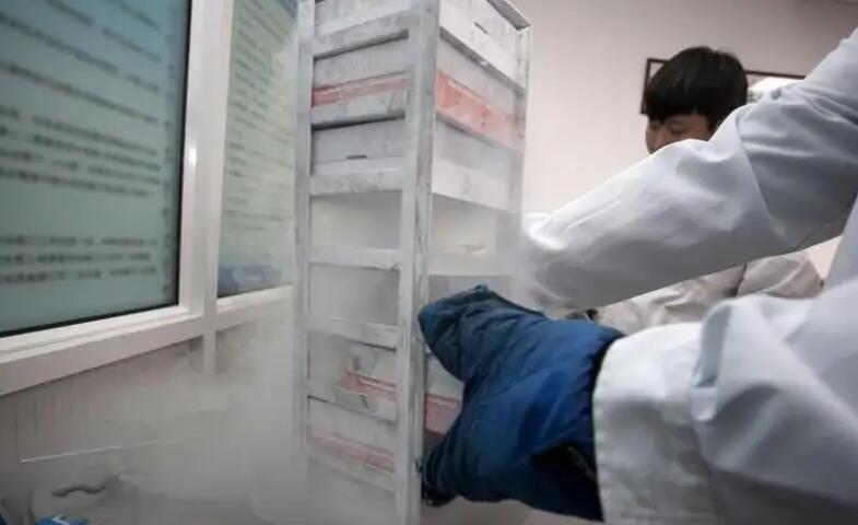 深圳试管的医院 2023年深圳试管婴儿医院排名前十的有哪几家？ ‘b超解说男女’