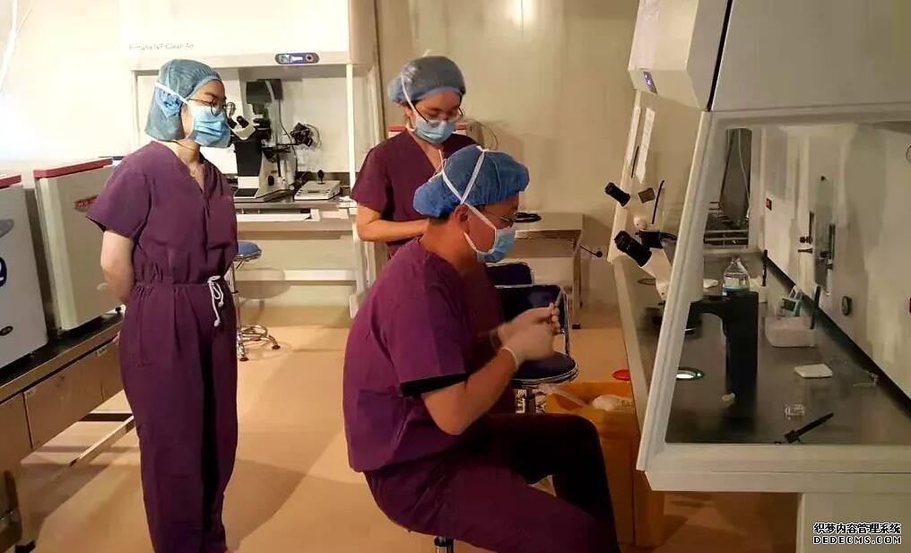 天津去供卵 2022天津医大二院试管婴儿费用明细 ‘nt报告怎么判断男女’