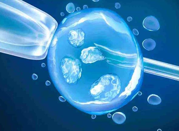 福建三代试管 在福建做试管婴儿要做什么检查呢? ‘b超单两个点男孩女孩’