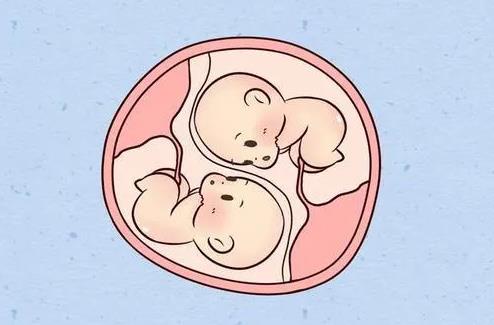 东莞第三代试管成功率高吗?,东莞供卵机构做三代试管生男孩要排队等卵吗?