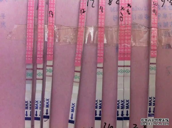 怀孕前检查什么项目？妇科、血液、精液综合评价