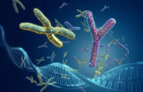 2022年石家庄做试管婴儿成功率高的医院是哪几家？