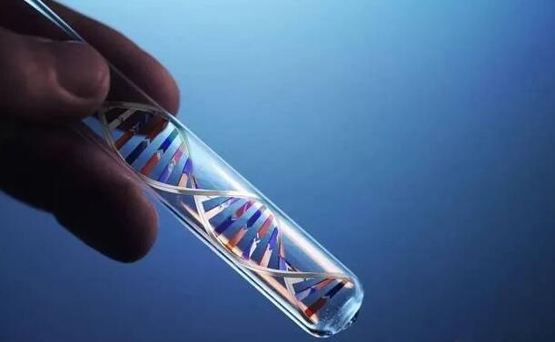 试管婴儿多少钱相信台湾茂盛医院 2022台湾那家试管婴儿医院做的比较好,付台湾试管费用、成功率 ‘16周男女b超区别图片’