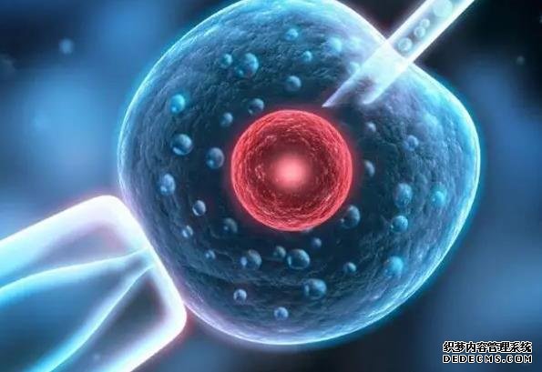 广医三院试管婴儿详细流程+时间安排,提前规划手术工作两不误-试管婴儿移植后肚子疼可以吃什么药