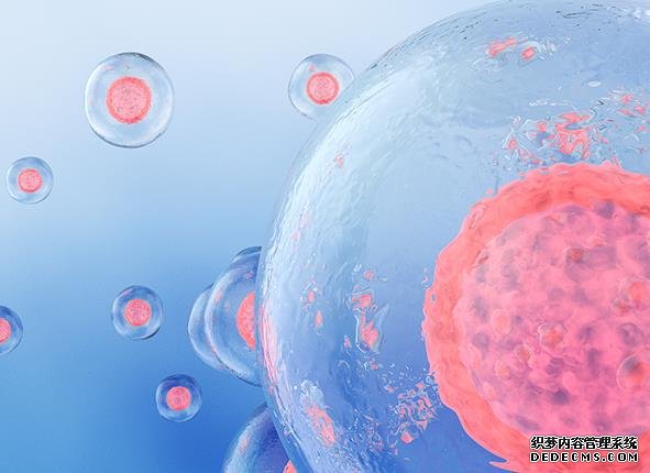 女性160斤做二代试管婴儿成功率有多少？-广州附属第三医院试管婴儿