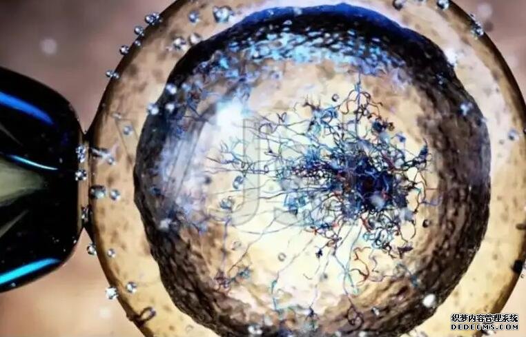 龙婴助孕网_什么叫第三方助孕_夫妻花2.2万找“专家”做试管婴儿生男孩,之后的事令人傻眼!