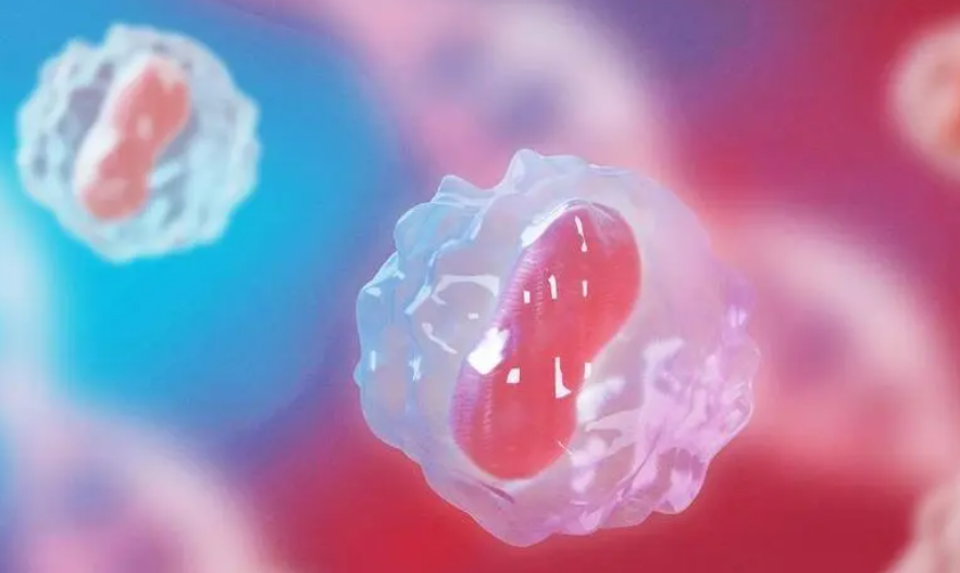 1692255063804673.png 1692255063804673.png