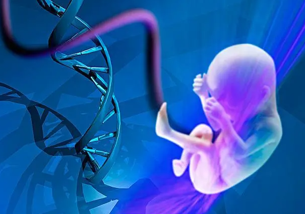 1692255907664285.png 46.png