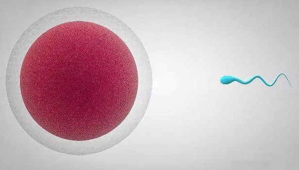 1692256253505266.png 10.png