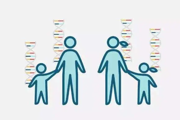 1692257712216502.png 58.png