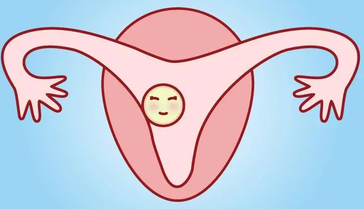 1692328045679548.png 74.png