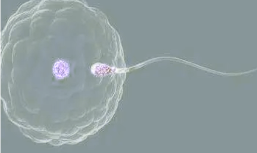 1692341043187215.png B4562F51-1EAB-4c8f-A76A-7A8B29141E87.png