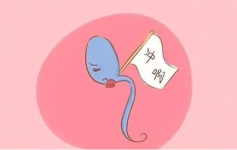 1692600693340987.png 81.png