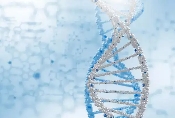 1692604278940427.png 139.png