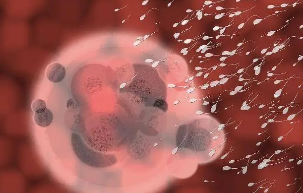 1692605354587404.png 22.png