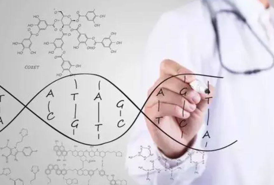 1692689620518828.png 1692689620518828.png