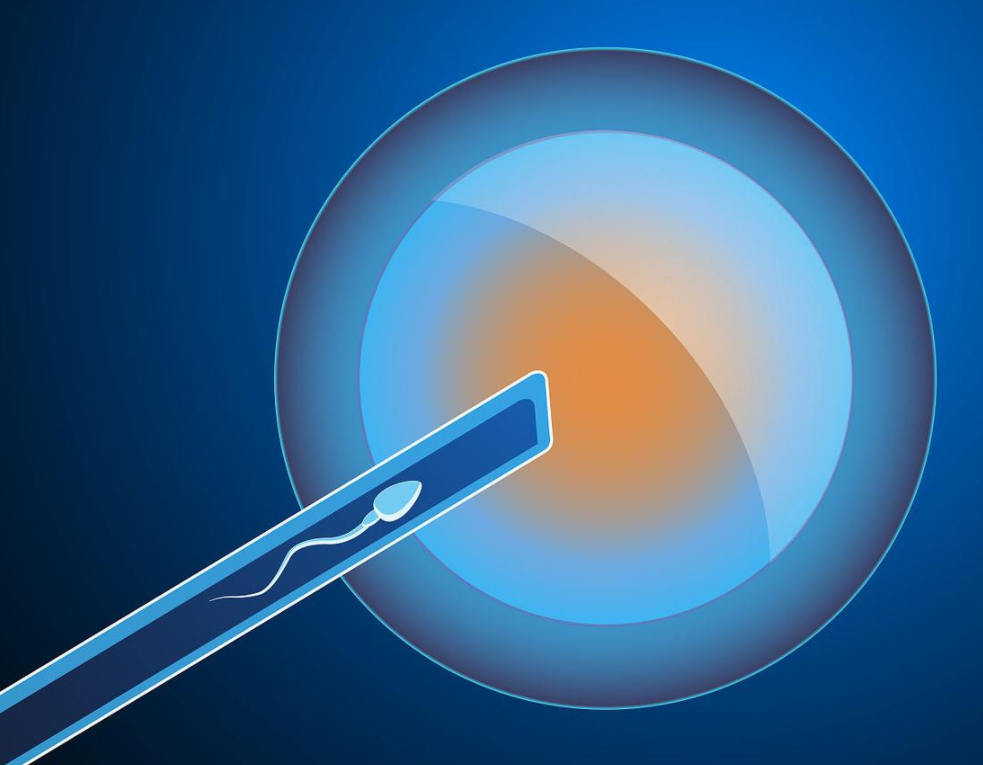 1692690204558397.png 78303031B.png