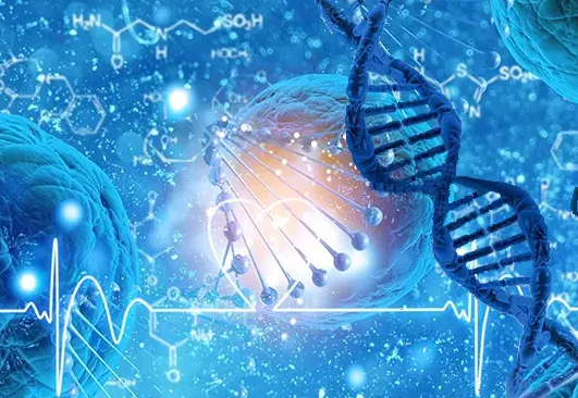 1692773347239576.png 25.png