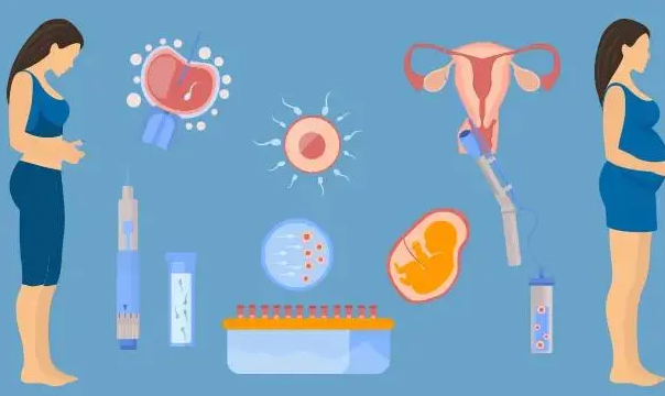 1692773696785346.png 44.png