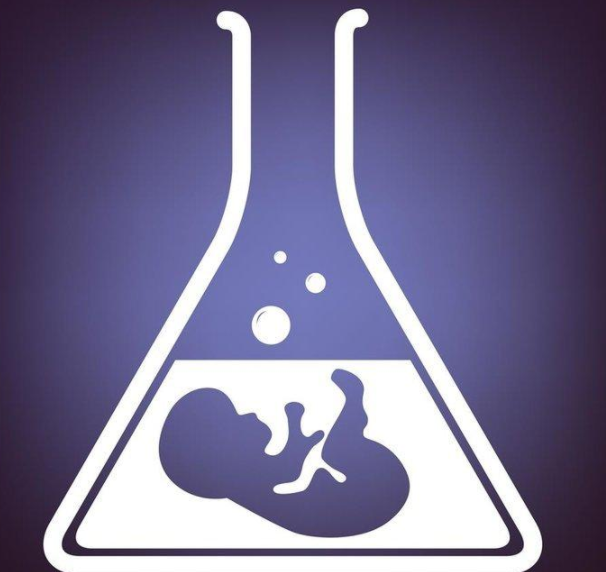 1692865279231891.png 43633063F.png