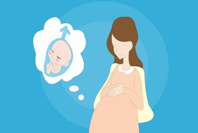 1692946521543069.png 115.png