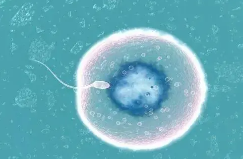 1693033133252118.png 11.png