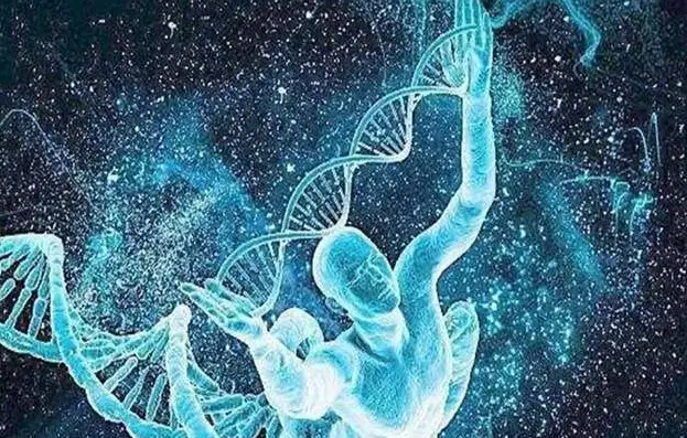 1693035274959667.png 2.png