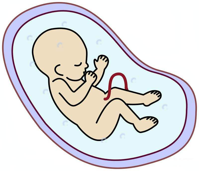 1693035934516035.jpeg 1C1476ADE.jpeg