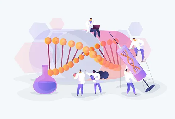 1693294297413149.png 41.png