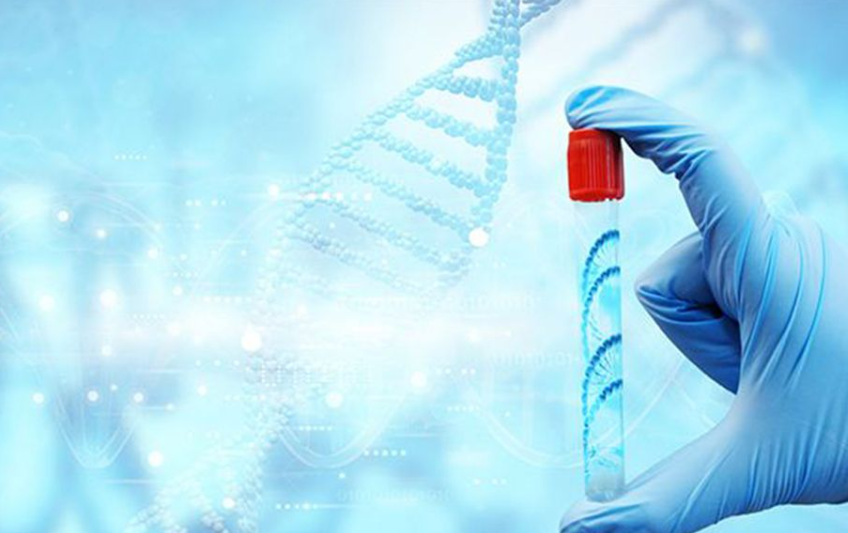 1693376201433198.png 1693376201433198.png