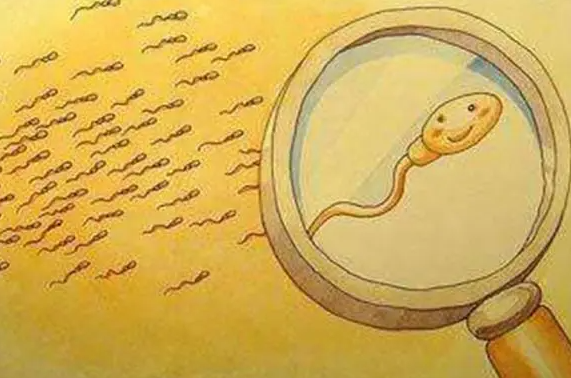 1693376789113030.png 102.png