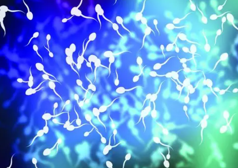 1693380055200585.png 1693380055200585.png