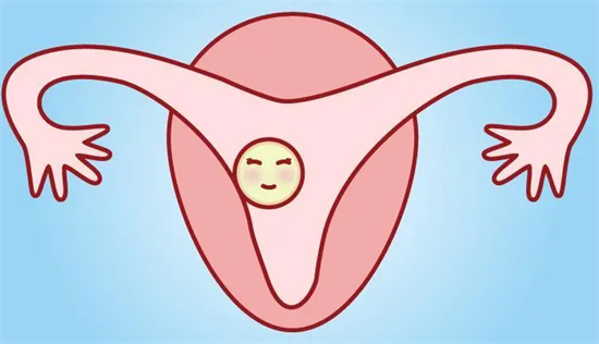 1693550156180092.png 74.png