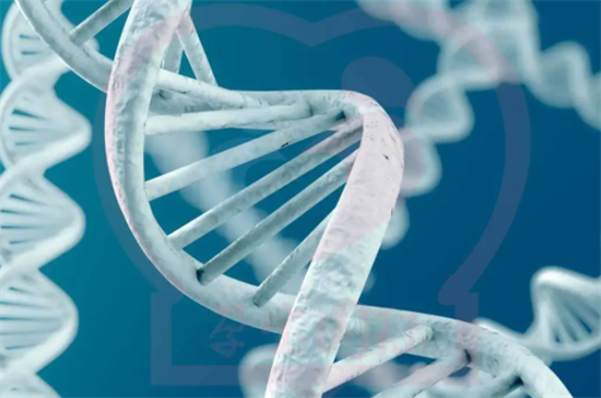 1693817074216291.png 52.png