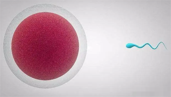 1693981066212202.png 10.png