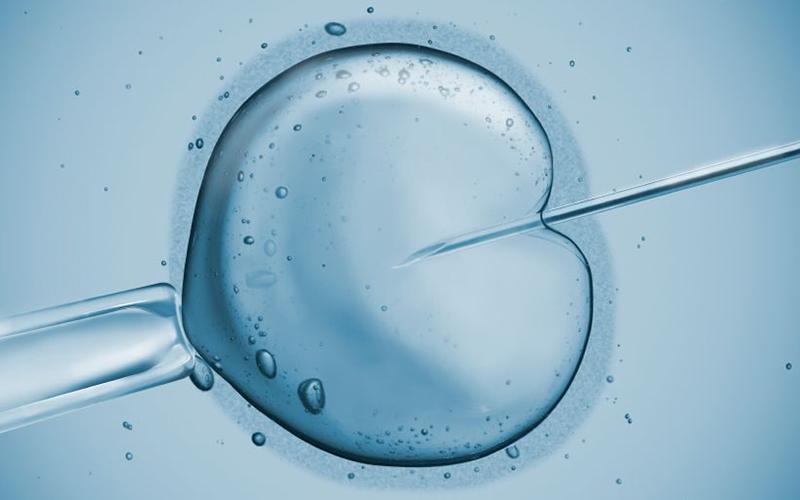 1694240433786760.png 1118F3664.png