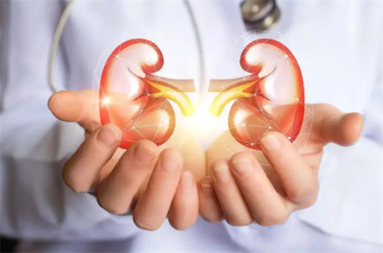 1694240731742530.png 68.png