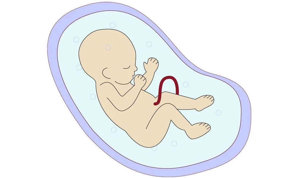 1694241821543056.jpg 5721CE5A6.jpg